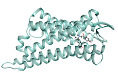 Towards entry "Recent cooperation between Food Chemistry and Medicinal Chemistry work groups"
